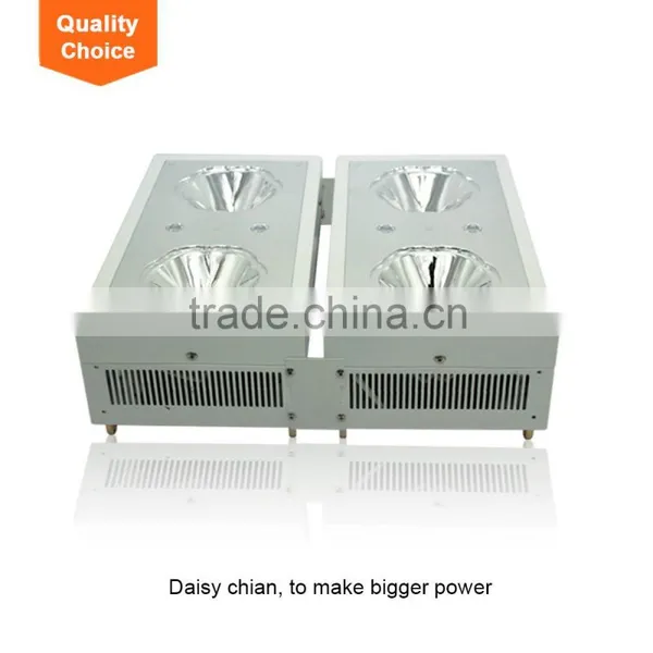 Best Selling Products Hydroponic Growing Systems COB LED Plants Grow Light photo-5