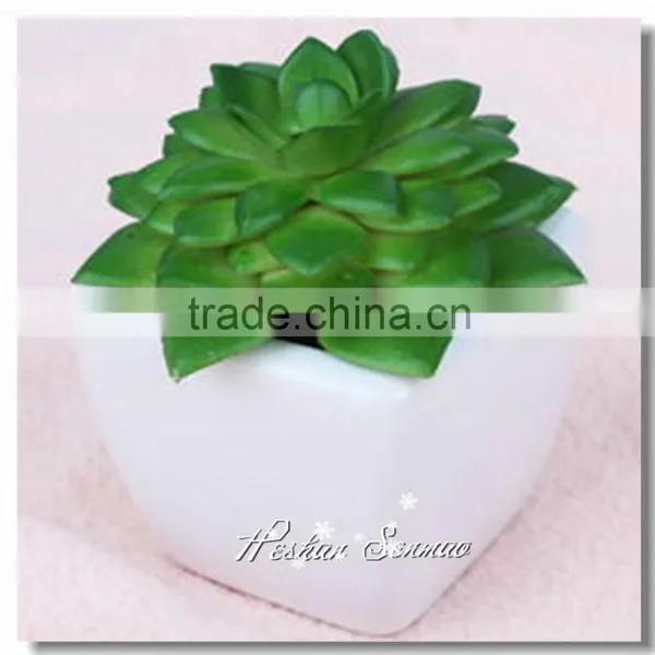Pvc Material and Succulent Plants Plant Type Artificial Succulent Plants photo-3