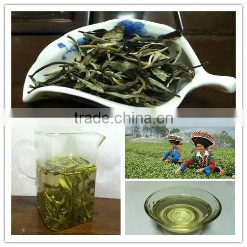 Healthy Lifestyle Drink White Tea