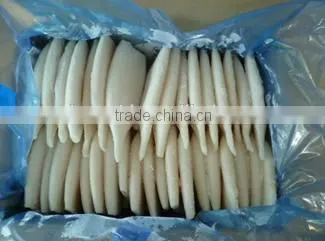 Whole Frozen Squid Tube U5,U7,U10-U20 photo-3