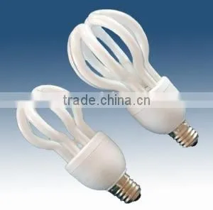 Energy Saving Bulb