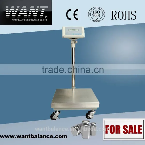 300kg scale model