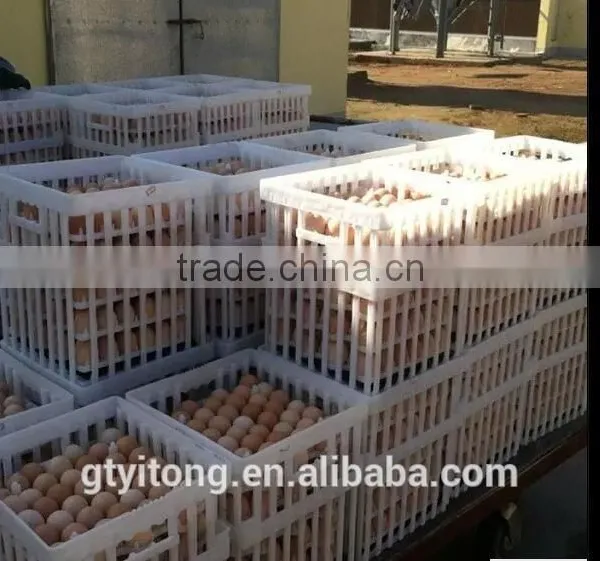 Egg Tray/ Egg Tray Transport Cage for Poultry Farm/ Plastic Egg Tray Transport Cage