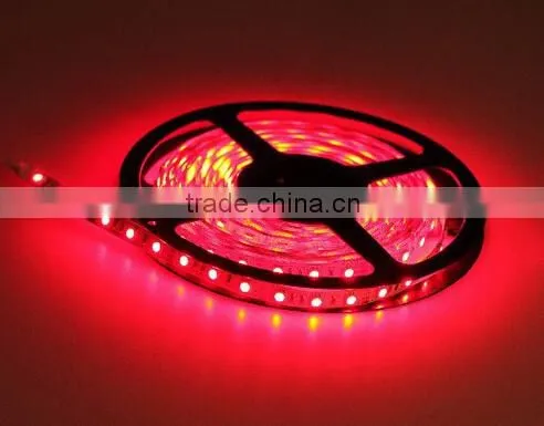 Flexible LED Rope Light SMD3528/5050 photo-2