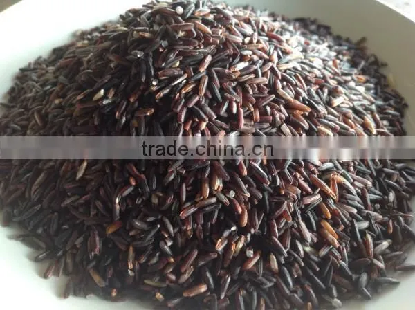 Organic Rice Berry From Thailand OEM