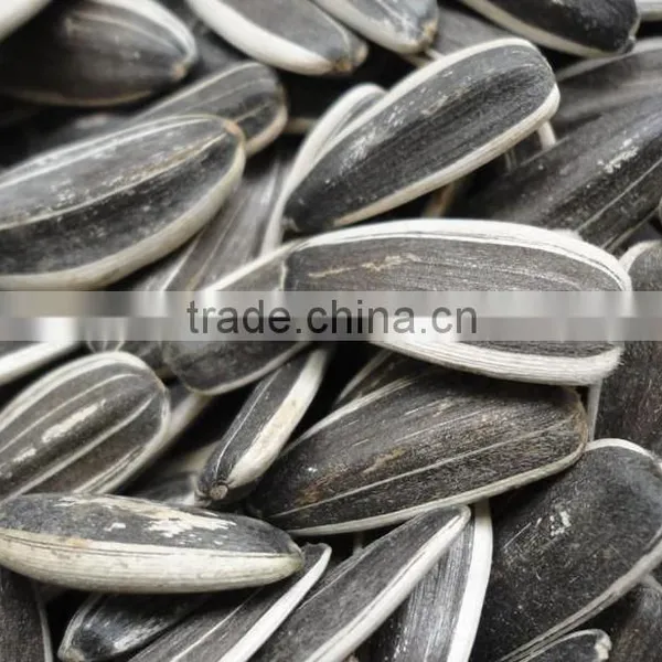 Supply All Kinds Of Sunflower Seeds photo-2