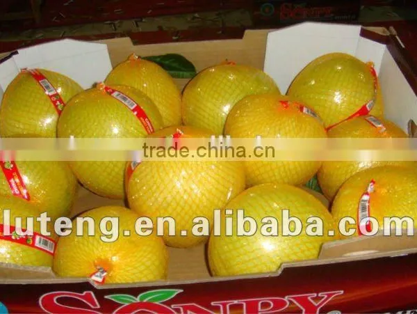 2015 China Original Fresh Honey Yellow Pomelo for Sale photo-5