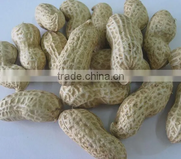 Chinese Peanut Kernels With Shell photo-5