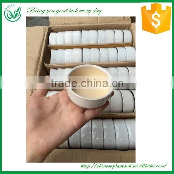 Ceramic Flower Pot photo-4