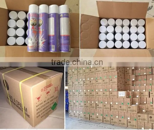 Hot Sell Factory Export Insecticide/Insecticide Spray for Pest Control/Read A Dream Multi Insecticide photo-4