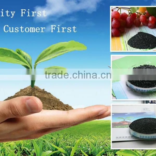 Humic Acid Organic Fertilizer photo-3