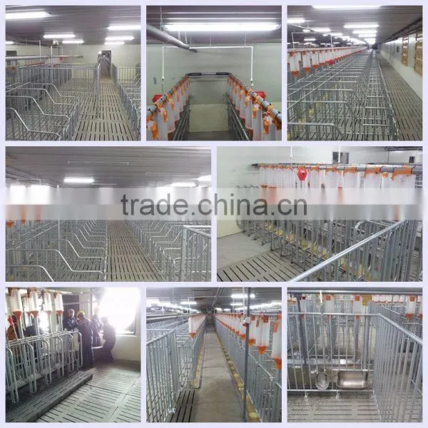 2017 Popular Automatic System Livestock Automatic Feeder Pig Equipment Pig Cage photo-2