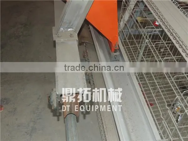 Automatic Manure Removal A Type Used Chicken Cage for Sale in Philippines photo-3
