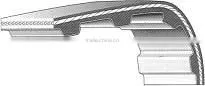 Timing Belt