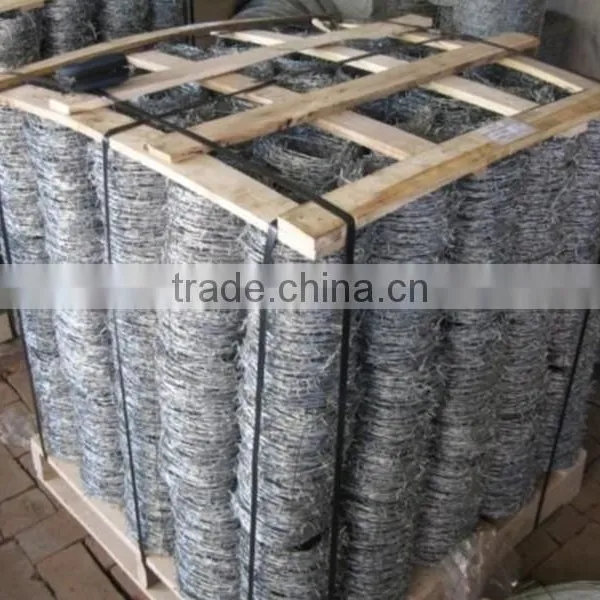 Cheap Hot Sales Razor Barbed Wire photo-4