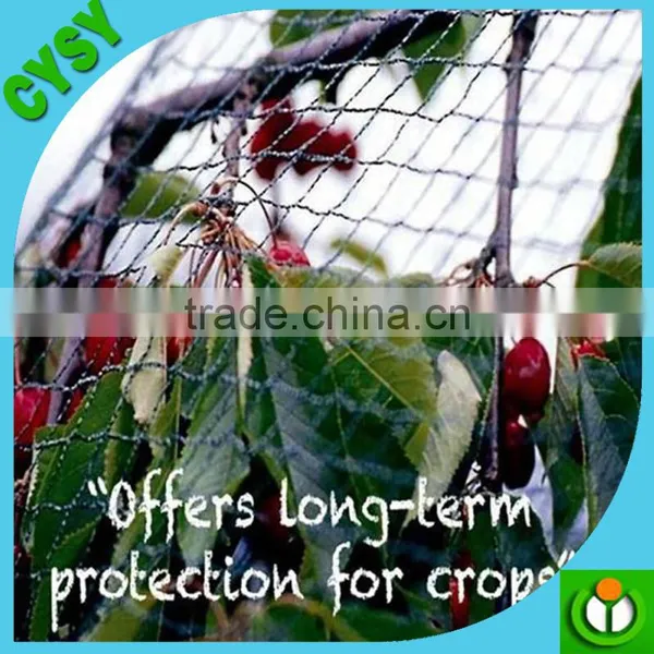 PE Mono Filament Woven Crystal Anti Bird Mesh Net,high Tensile Strength Bird Guard Mesh photo-3