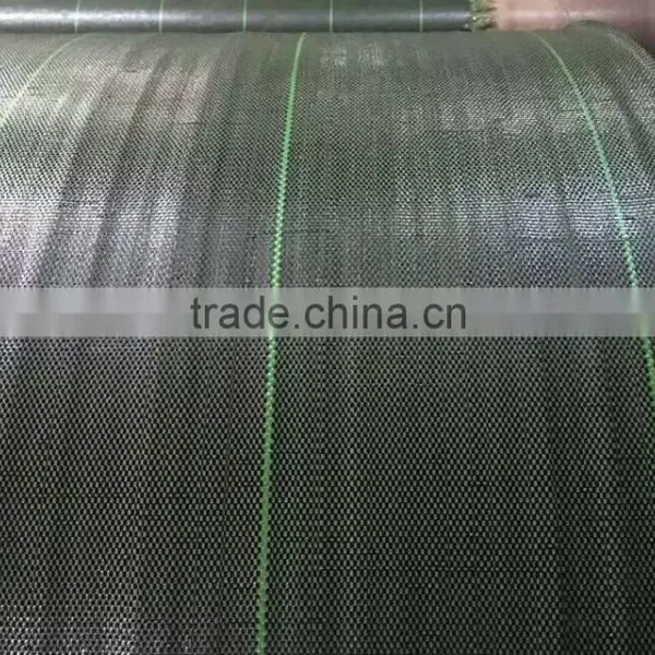Green House Agriculture Sun Proof Shade Net pe Tarpaulin Tent Camp Ground Mat