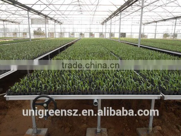 Galvanized Steel Greenhouse Used Seedbed System