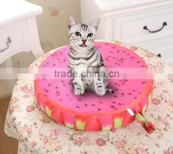 Fruit Shaped Cushion 3D Sandals Soft Comfortable Cute Different Images Printing and Sizes photo-3