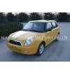 5 Seats Fashionable Metal Electric Car