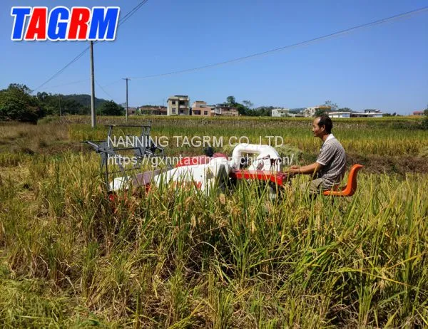 Cheapest Price and Good Quality Mini Paddy Rice Combine Harvester / Rice Reaper Working in Wet Field photo-4