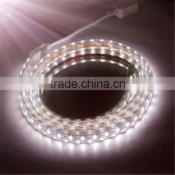 Best Led Lighting Factory 12V/24V Led Strip Light SMD3528 5050 photo-4