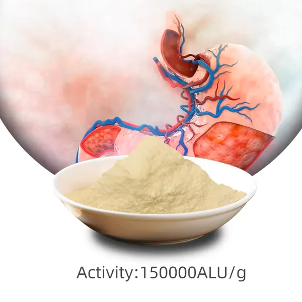 Hot Selling Acid Lactase 150000ALU/g Powder Supply of Enzyme Preparations with CAS 9031-11-2 for Digestive Aid