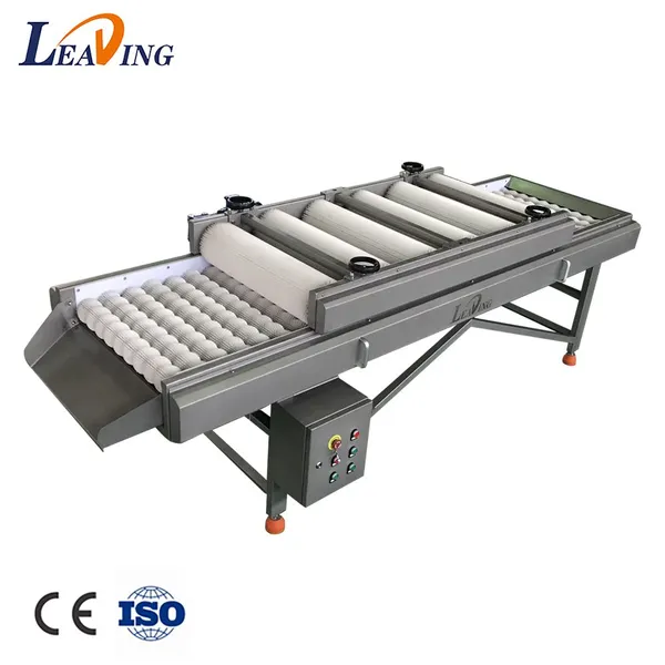 Automatic Industrial Air Bubble Palm Dates Processing Machine Commercial Date Palm Washer Cleaning Machine Dates Cleaner photo-5