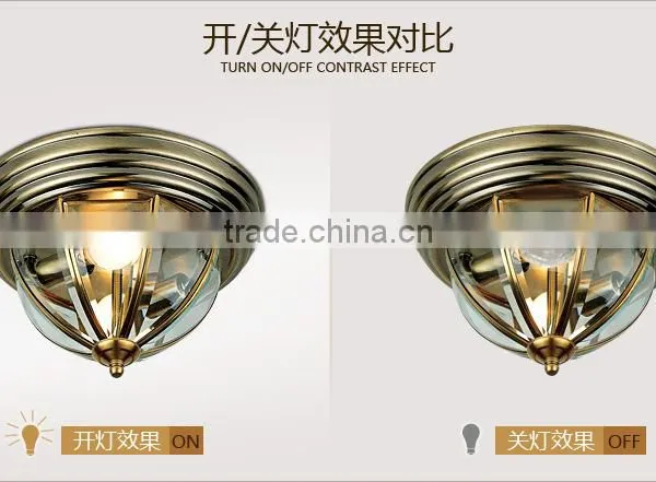 Modern LED Ceiling Lights 220V/110V Living Room Ceiling Lamps photo-3