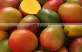Suvimie Fresh Mangos photo-3
