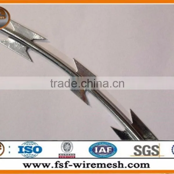 High Quality Low Price Razor Barbed Wire in China(manufacturer) photo-4