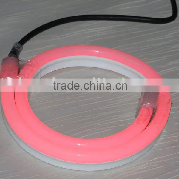 Economical LED Neon Flex