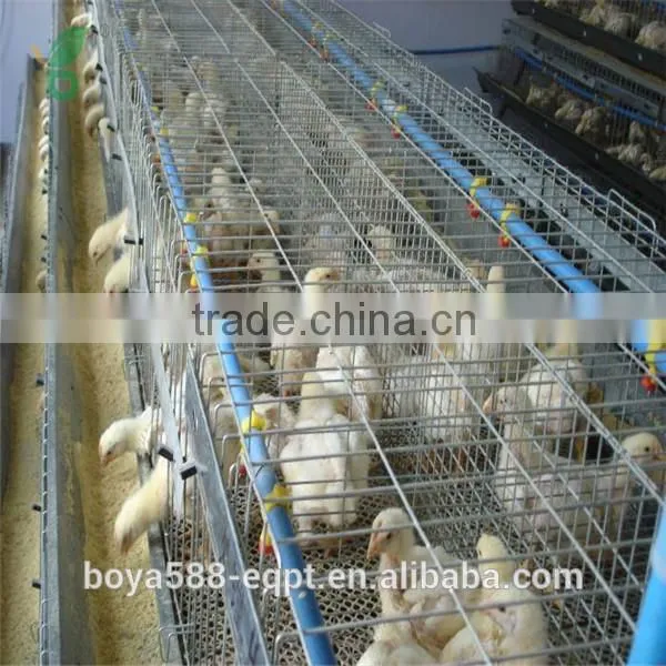 H Type New Design Pullet Rearing Cage With Lower Price photo-4