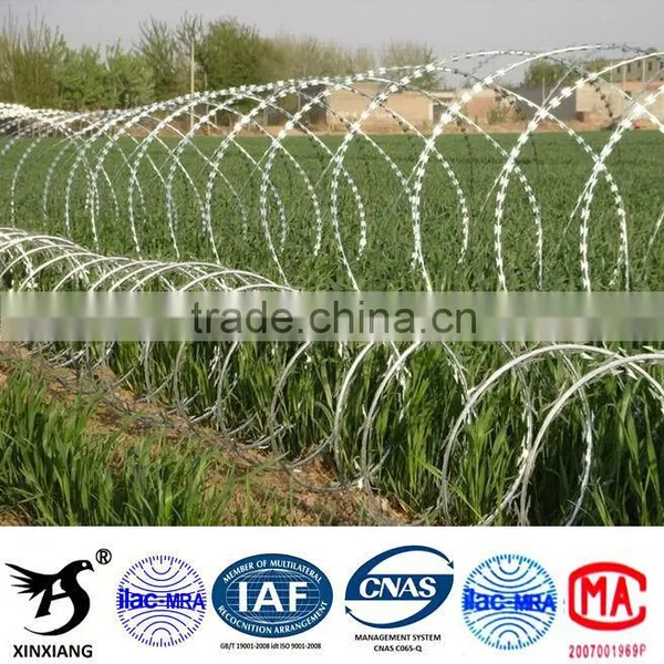 Xinxiang Concertina Razor Wire Fencing