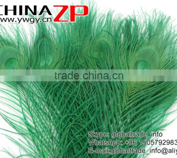 Leading Supplier CHINAZP Wholesale Cheap Full Eye Dyed Green Peacock Tail Feathers photo-2