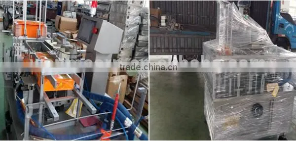 Wanshen Egg Rolls Automatic Cartoning Machine(customized Cartoning Machine Manufacturer) , Automatic Packing Machine photo-2