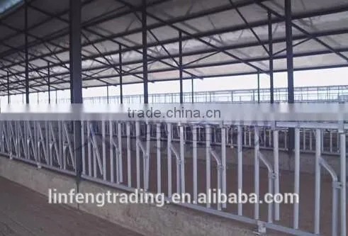 Animal Husbandry Equipment Cows Neck Cangue photo-3