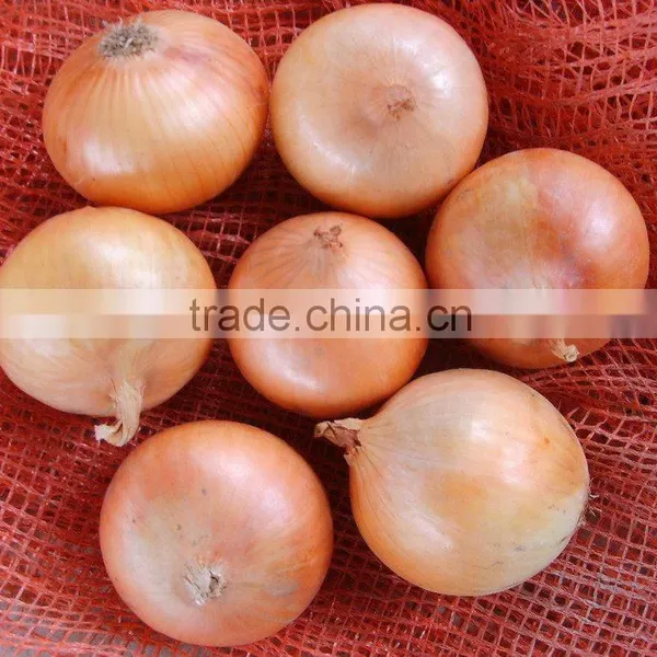 Fres Yellow Onion