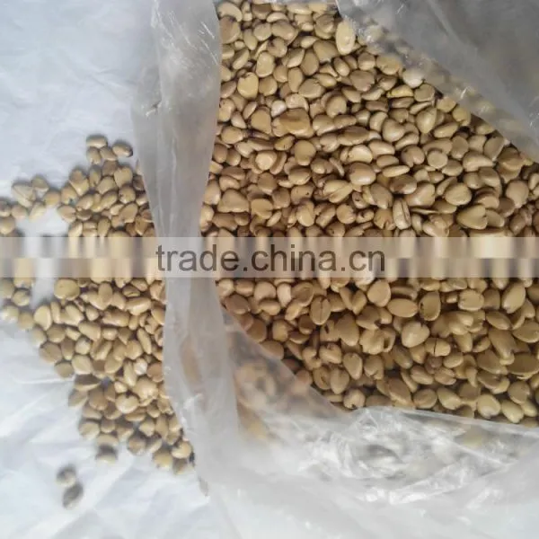 New Product Kadsura Coccinea Seeds Hei Lao Hu Seeds For Growing photo-4