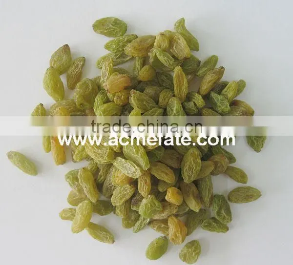 China Suppliers Best Price Green Raisin photo-3