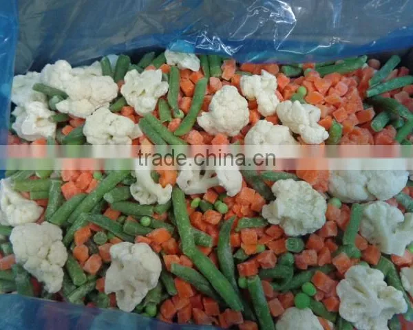Blended Frozen Bulk Manufacturer Fruits and Vegetables Model photo-6