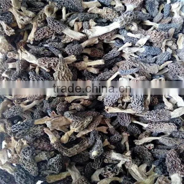 Dried Morel Mushroom Black Fungus Mushroom Market Prices for Mushroom photo-2