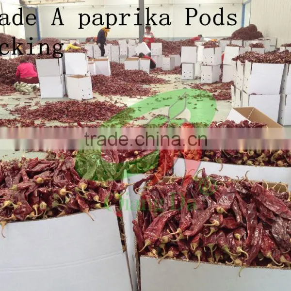 New Crop Sweet Paprika Smoked Paprika photo-4
