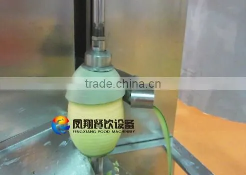 High Quality Pineapple Honey Dew Melon Processing Machine photo-5
