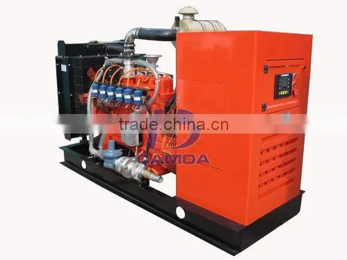 Camda Factory Biogas Generator Sets With/without Canopy 250kw Biogas Generator photo-4