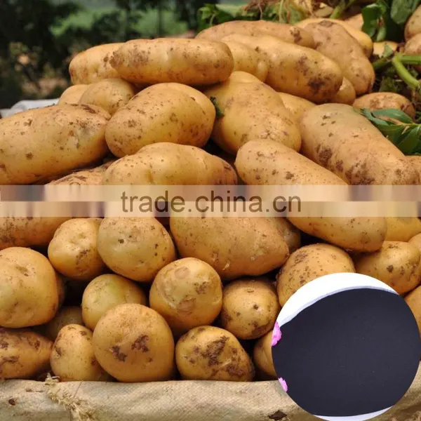 Multifunctional Natural Organic Humic Acid Fertilizer photo-3