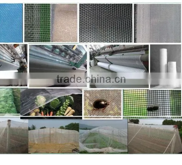 HDPE Insect Proof Net / Greenhouse Plastic Anti Insect Net photo-2