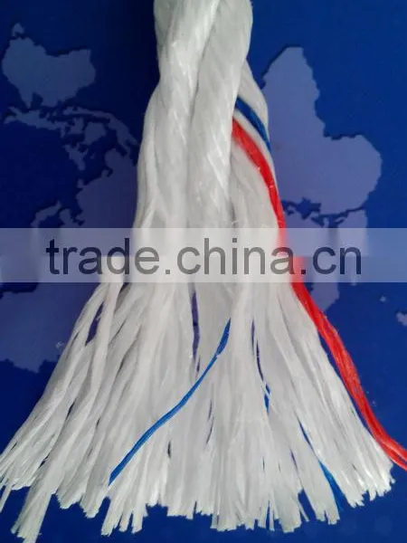 Supplier Danline Rope pp Material in Stock photo-4