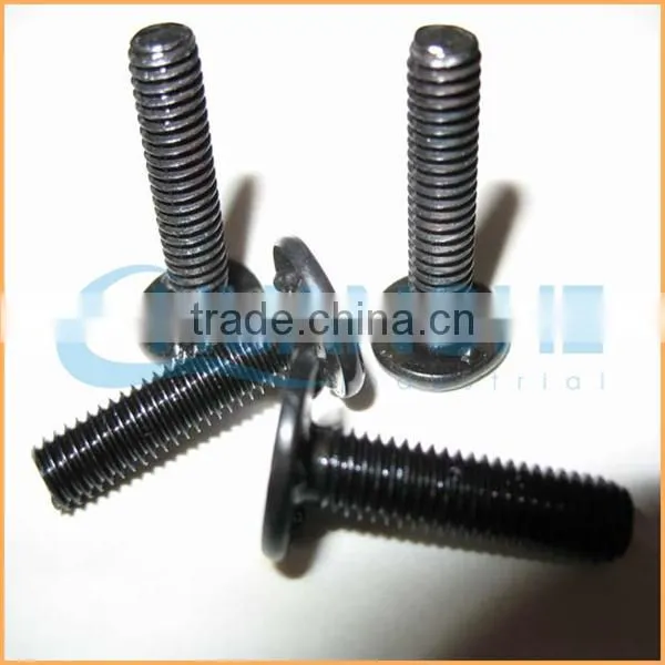 Factory Sales Steel Welding Screw photo-4