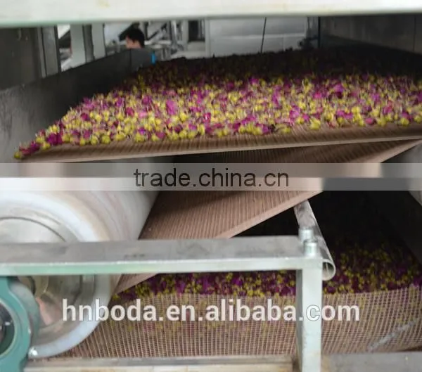 Mesh Machine Type and New Condition Mesh Belt Dryer photo-4